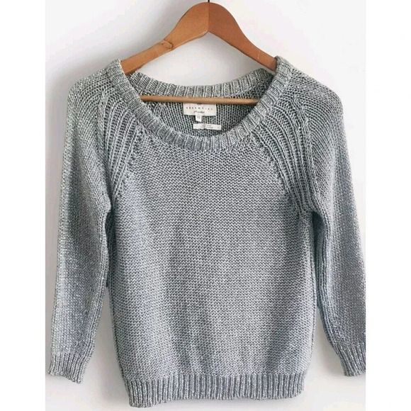 Essentiel Antwerp Sweater Women's XS Gray Mettalic Made In Italy Knit Pullover
